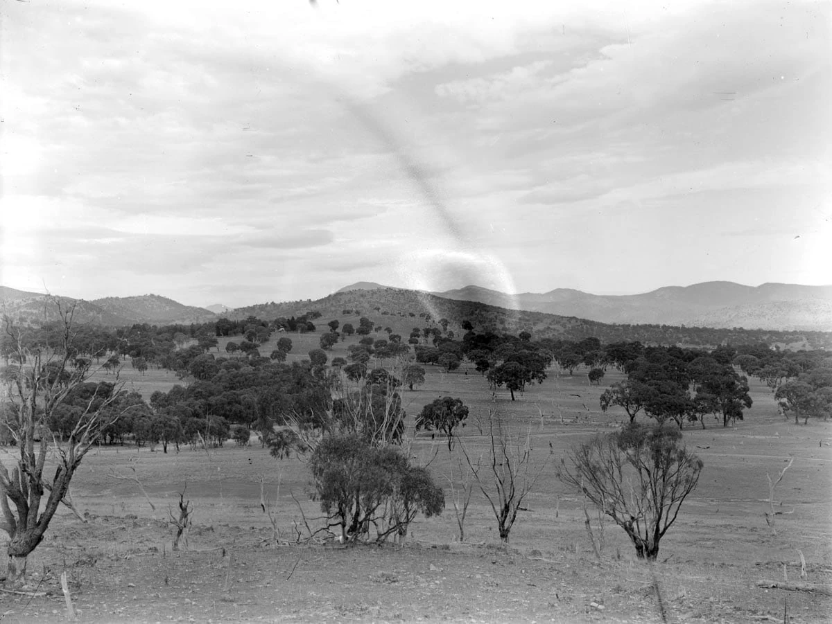 Open pasture and scattered trees across Woden Valley, photographed from Red Hill before suburban development.